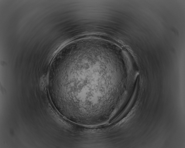 X0000090891369200708031043