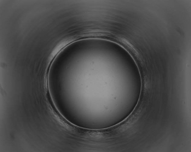 X0000090891370200708031043