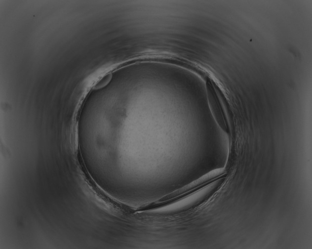 X0000090891371200708031043