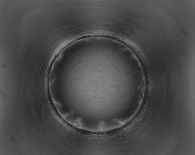 X0000090891374200708031043