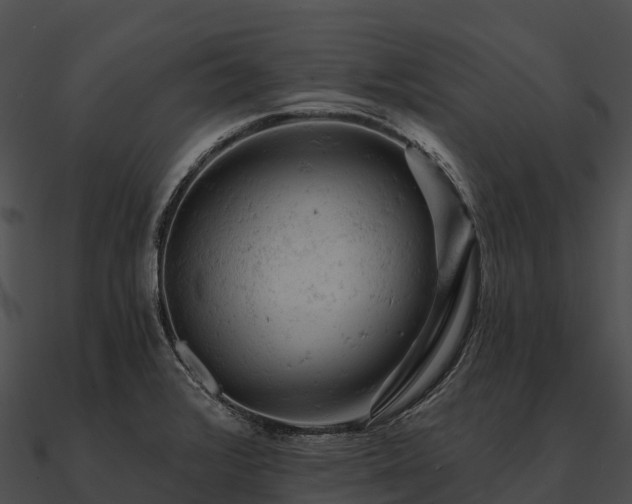 X0000090891376200708031043