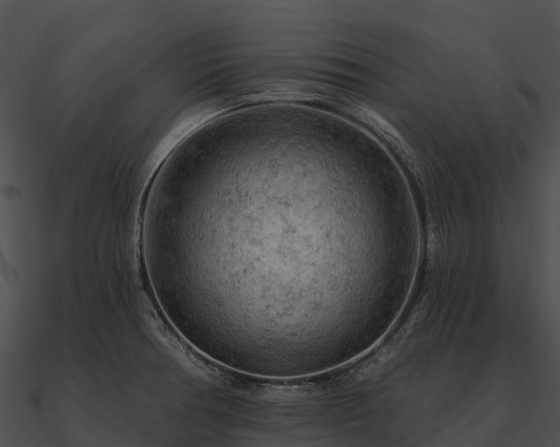 X0000090891378200708031043