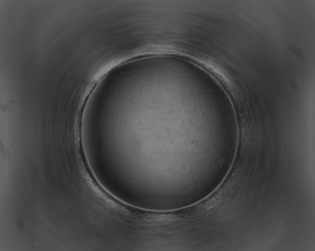 X0000090891382200708031043