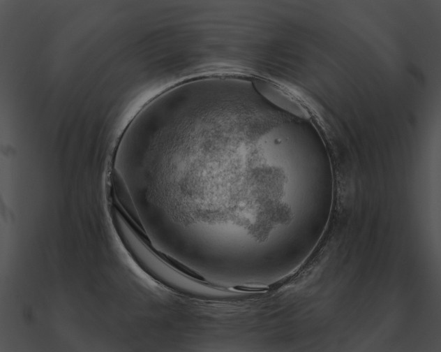 X0000090891383200708031043