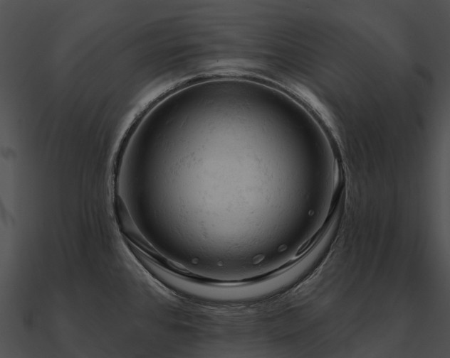 X0000090891384200708031043