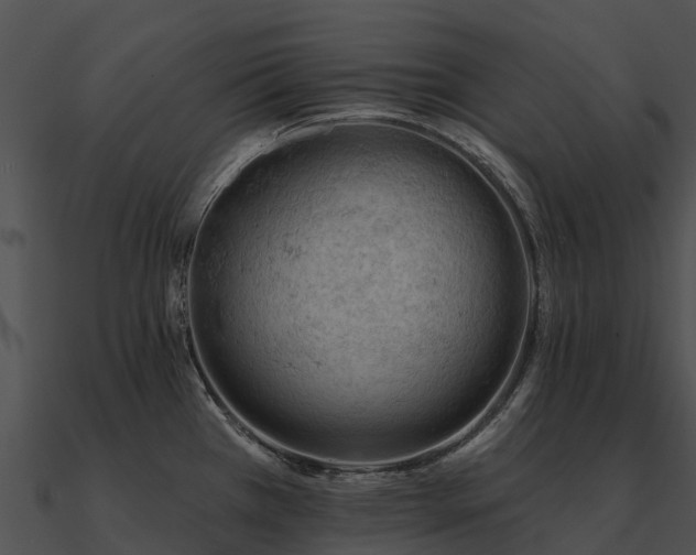 X0000090891385200708031043