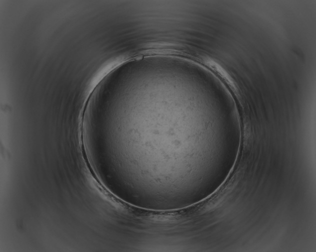 X0000090891386200708031043