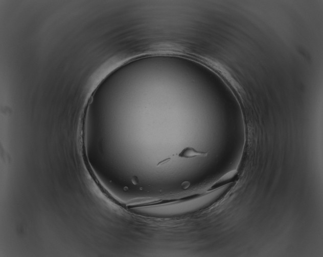 X0000090891387200708031043