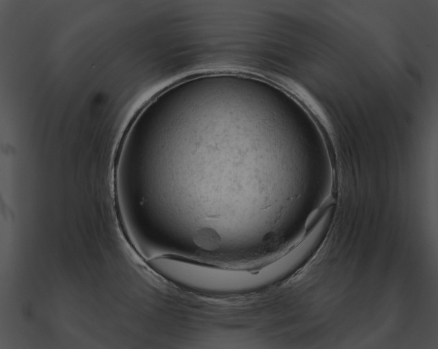 X0000090891388200708031043