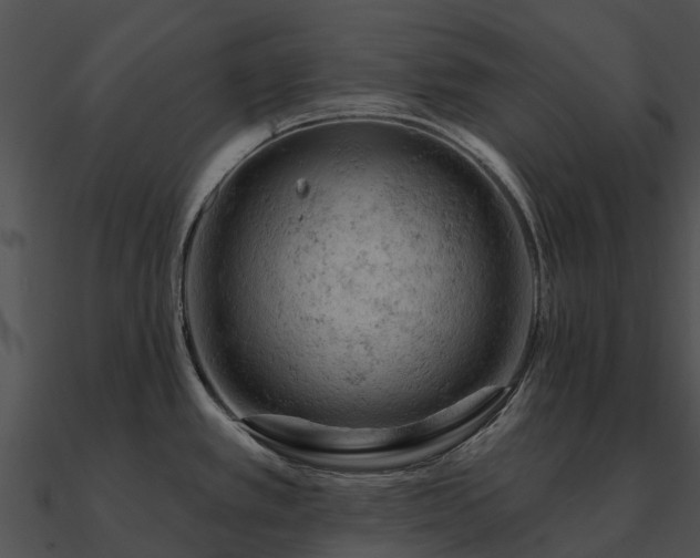 X0000090891389200708031043