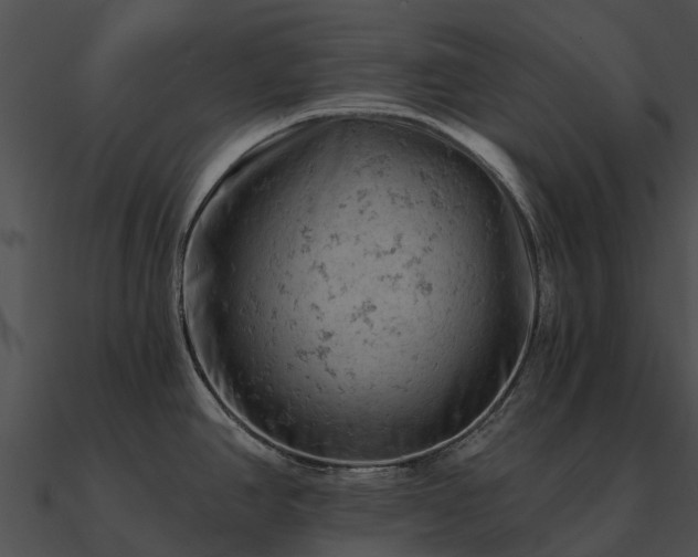 X0000090891390200708031043