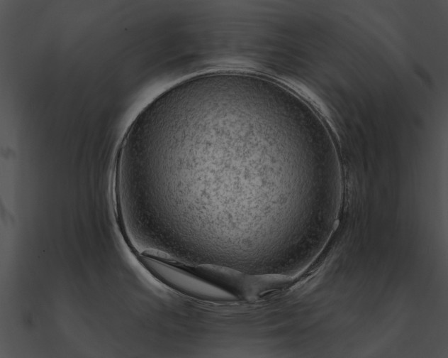 X0000090891391200708031043