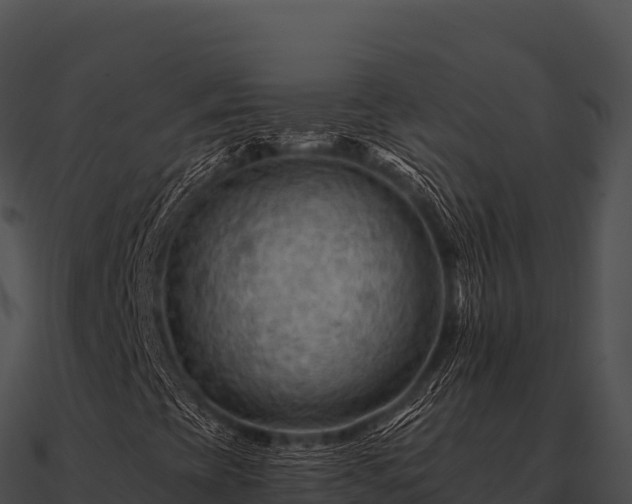 X0000090891393200708031042