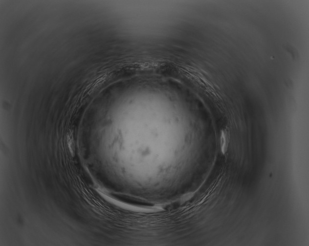 X0000090891395200708031042