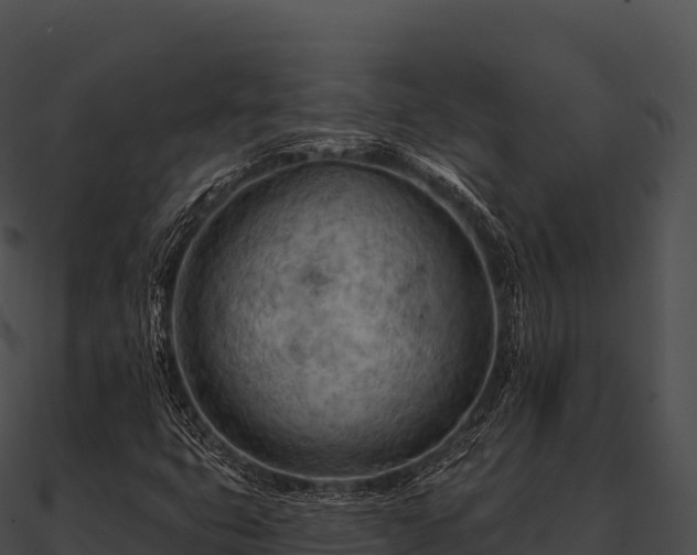 X0000090891399200708031042