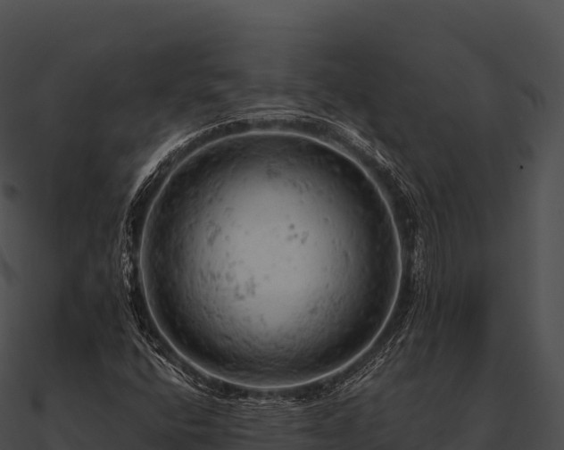 X0000090891400200708031042