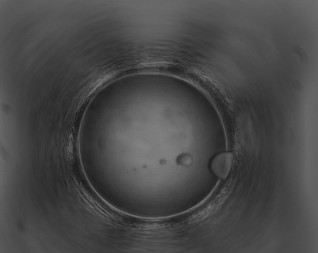 X0000090891401200708031042