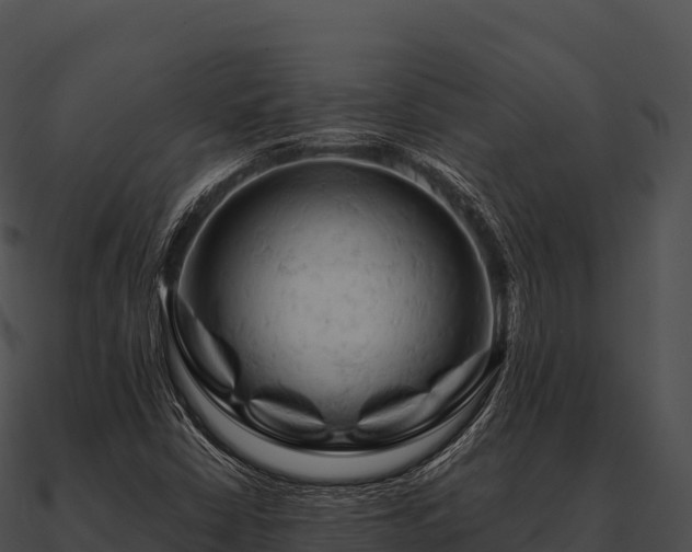 X0000090891402200708031042