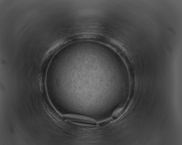 X0000090891403200708031042