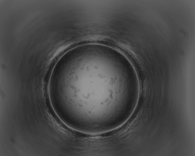 X0000090891404200708031042