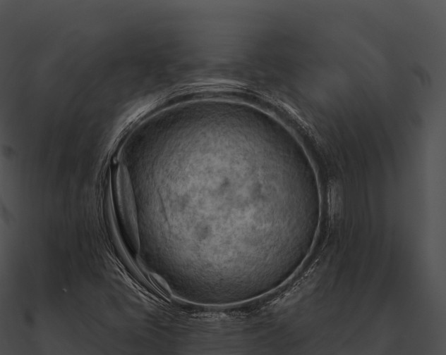 X0000090891405200708031043