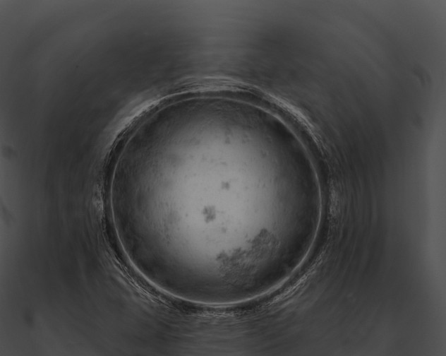 X0000090891407200708031043