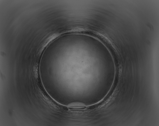 X0000090891409200708031043