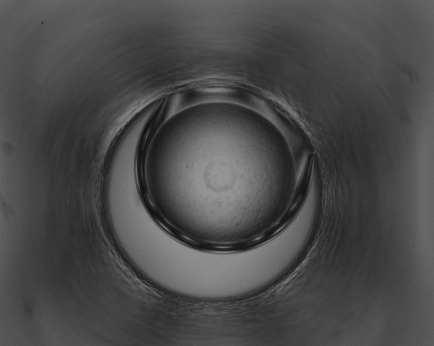 X0000090891410200708031043