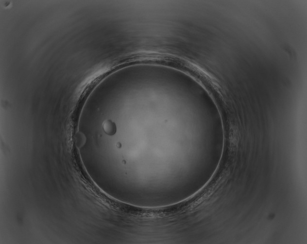 X0000090891411200708031043