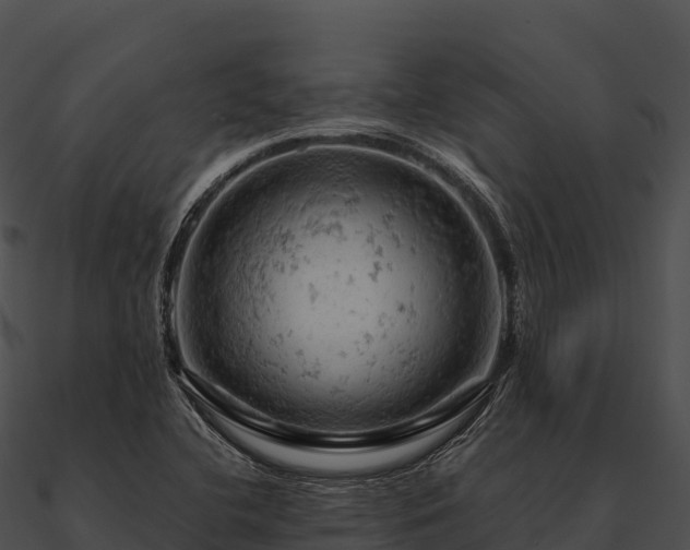 X0000090891412200708031043