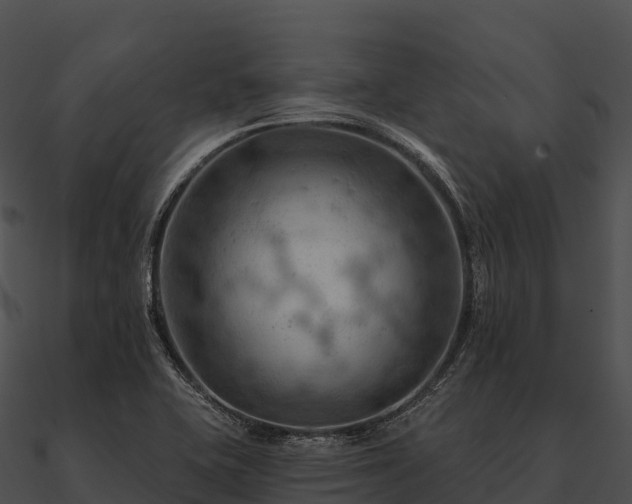 X0000090891415200708031043