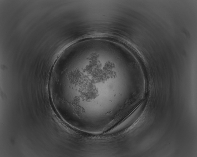 X0000090891417200708031043