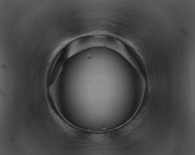 X0000090891422200708031043