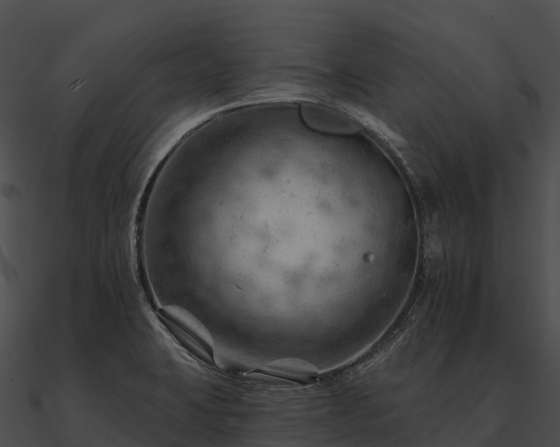 X0000090891423200708031043