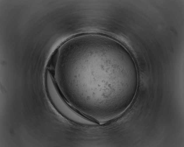 X0000090891424200708031043