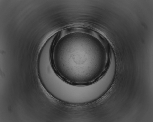 X0000090891426200708031043