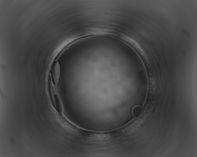 X0000090891427200708031043