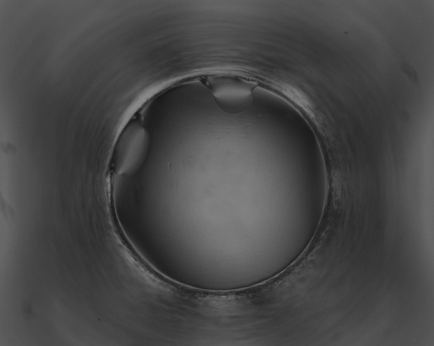 X0000090891428200708031043