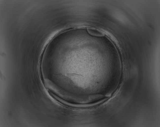 X0000090891429200708031043