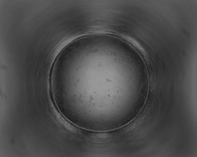 X0000090891431200708031043