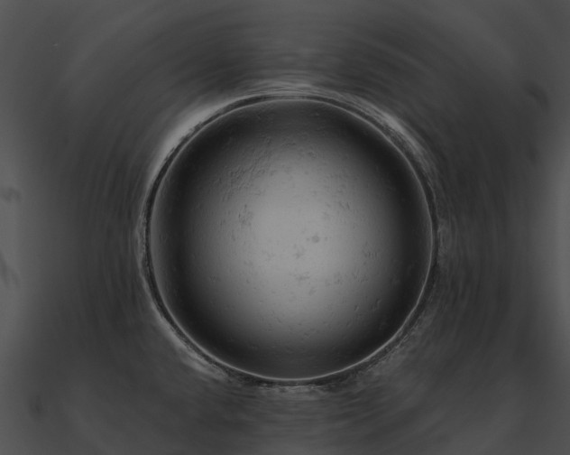 X0000090891432200708031043