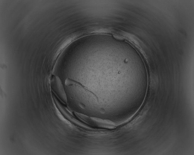 X0000090891433200708031043