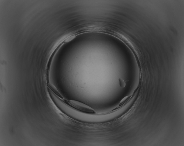 X0000090891434200708031043