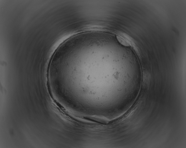 X0000090891435200708031043