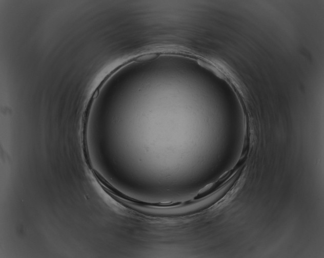 X0000090891438200708031043