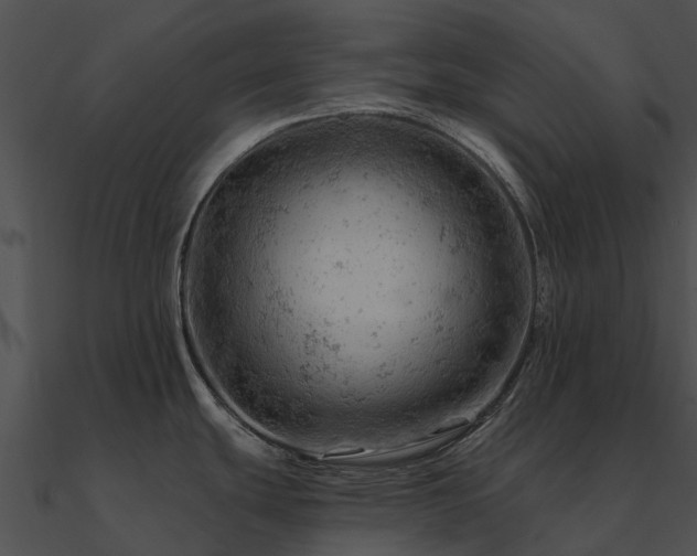 X0000090891439200708031043