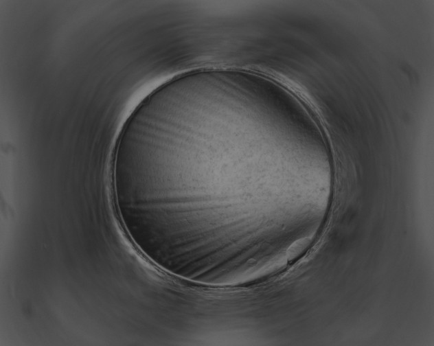 X0000090891440200708031043