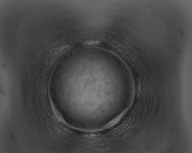 X0000090891441200708031042