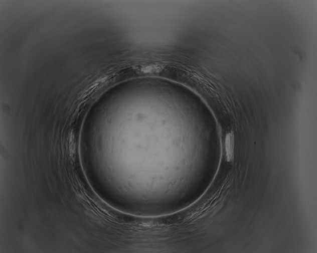 X0000090891443200708031042