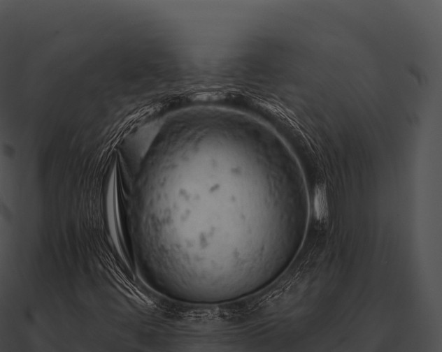 X0000090891444200708031042